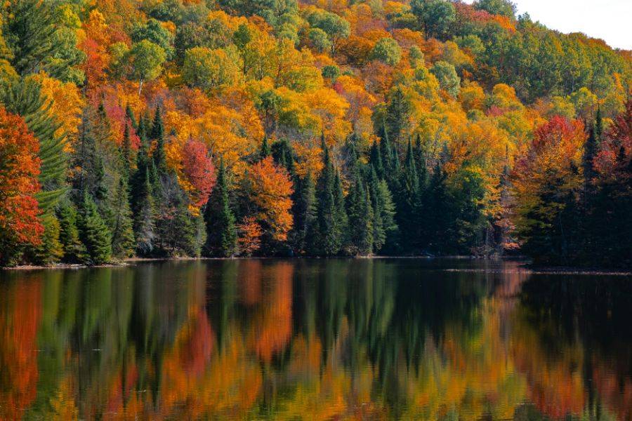 Herbstlandschaft in Kanada mit bunten Wäldern am See während des berühmten Indian Summer