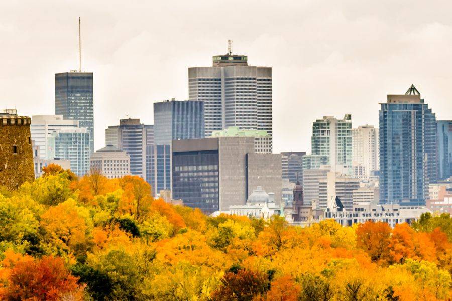 © VERKEHRSBUERO/ ruefa Die Skyline von Montreal. Davor sieht man eine bunte Herbstlandschaft in gelb, orange und rot.