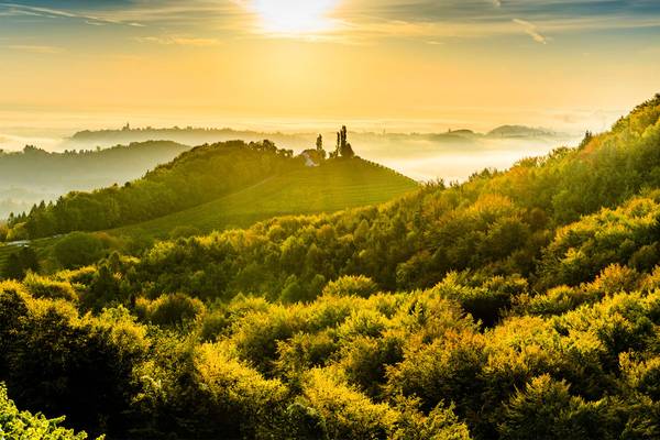 Genussreise Steiermark - ab Frankfurt