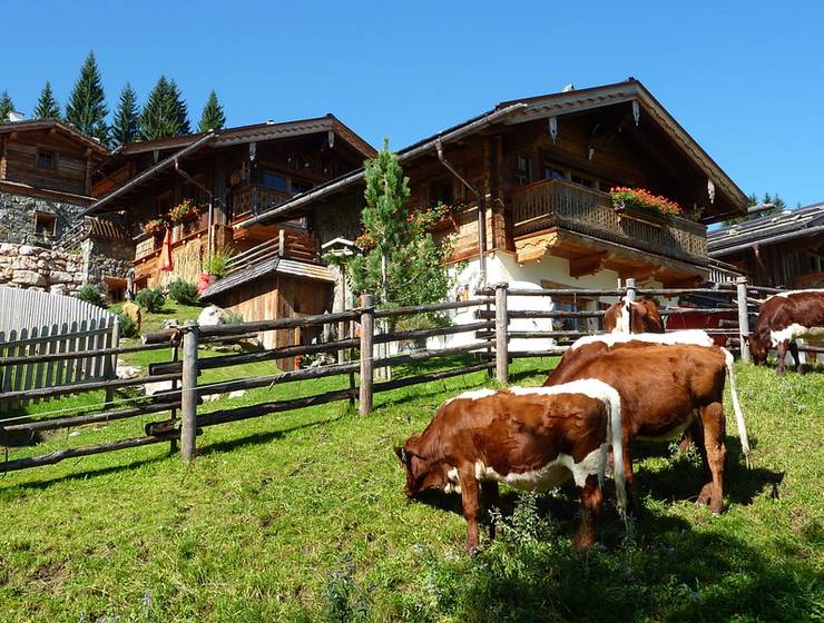 Almdorf Flachau und Promi Alm