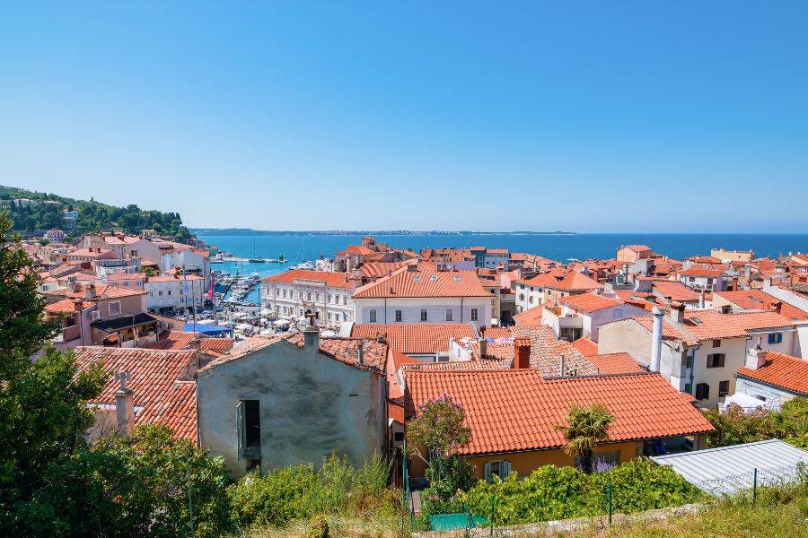 Küstenstadt Piran mit roten Dächern und Blick auf die Adriaküste in Slowenien