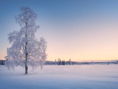 Sonne geht auf über Winterlandschaft