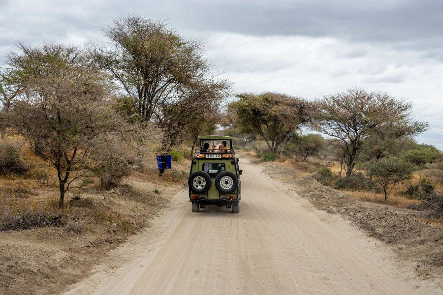 Ein Jeep, der auf Safari durch die Steppe fährt.