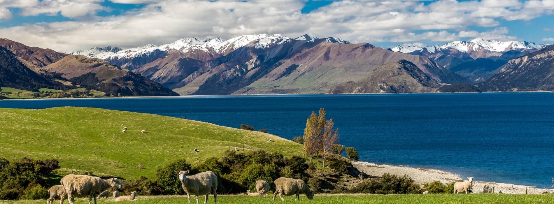 Idyllische Landschaft mit See, grünen Wiesen und Bergen im Hintergrund
