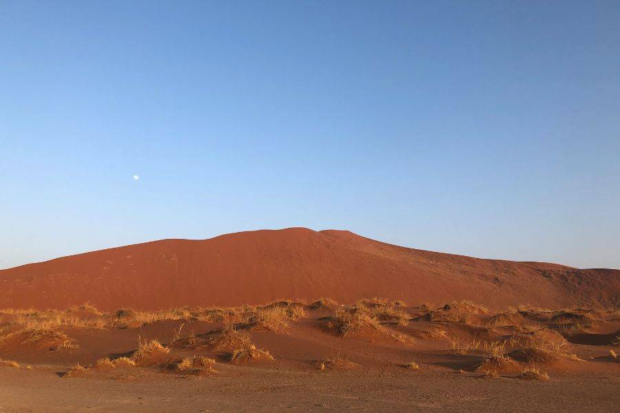 In der Kalahari auf Safari zwischen Sand, Stille und Luxus
