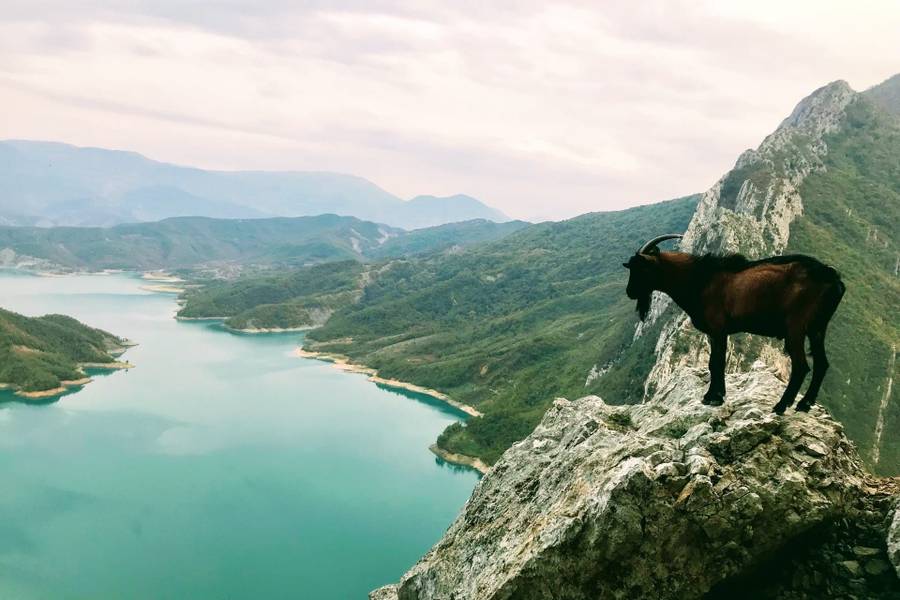 Reisebericht aus Albanien