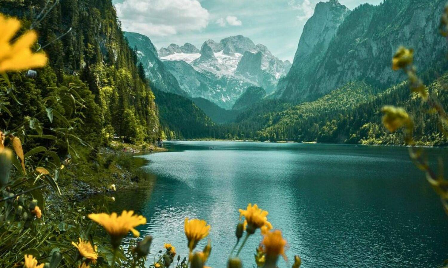 © pixabay