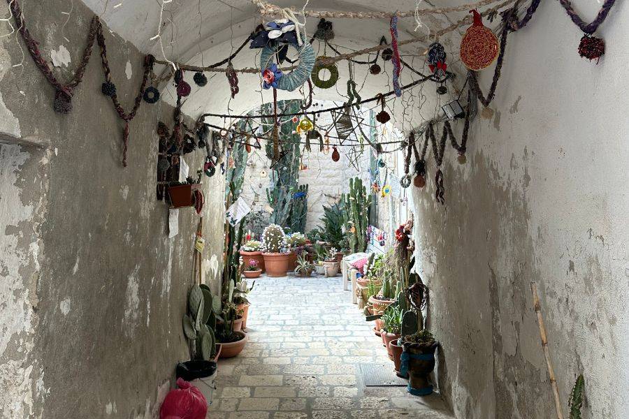 Ein schmaler, überdachter Durchgang in einer apulischen Altstadt, geschmückt mit handgemachtem Dekor und vielen Pflanzen in Tontöpfen.