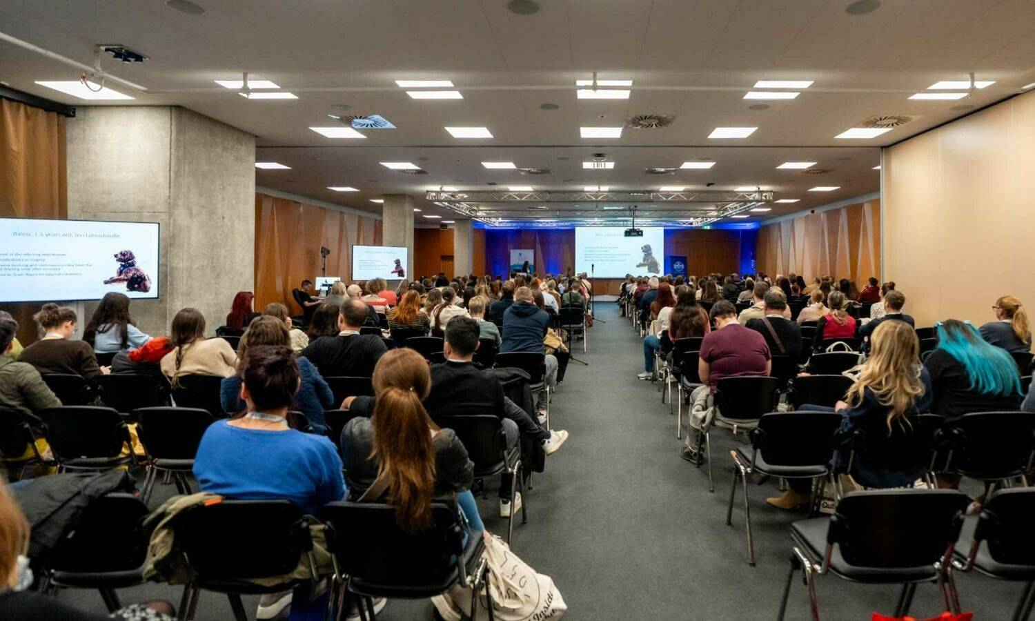 GR Ljubljana, Povodni mož hall, Velocity 2022