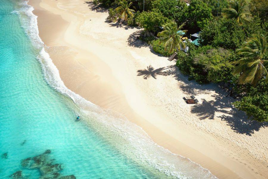 Traumhafter Karibikstrand mit türkisblauem Wasser während einer Cunard Reise