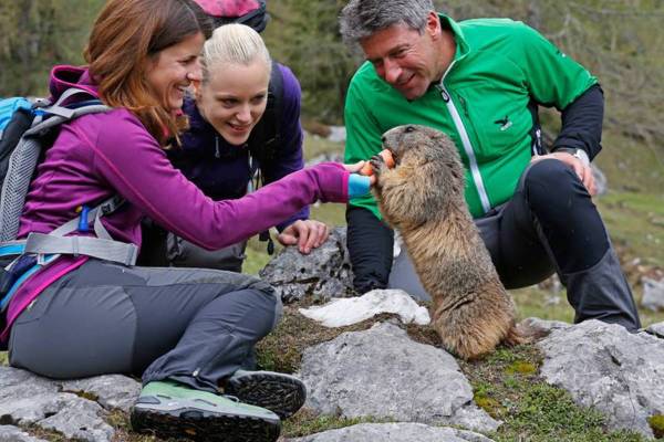 © Steiermark Tourismus/Herbert Raffalt Gletscher, Murmeltiere & Wasserwelten