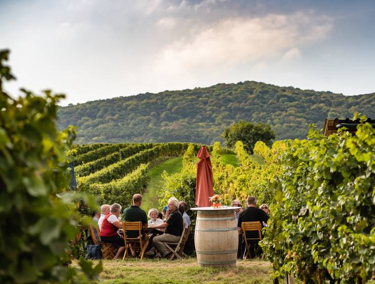 Culinary journey to the Vienna Woods - from Frankfurt