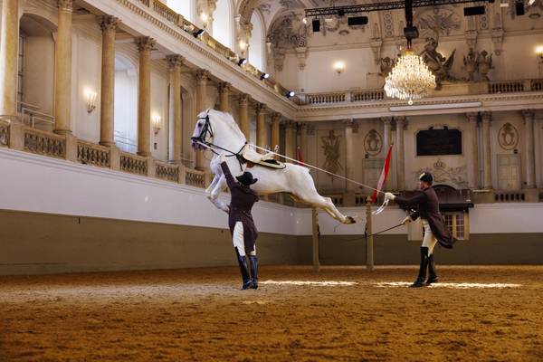 © Peter Rigaud Spanische Hofreitschule