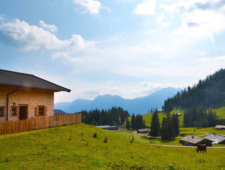 UHL-SBG Lofer Hütte bis 10 Pers.