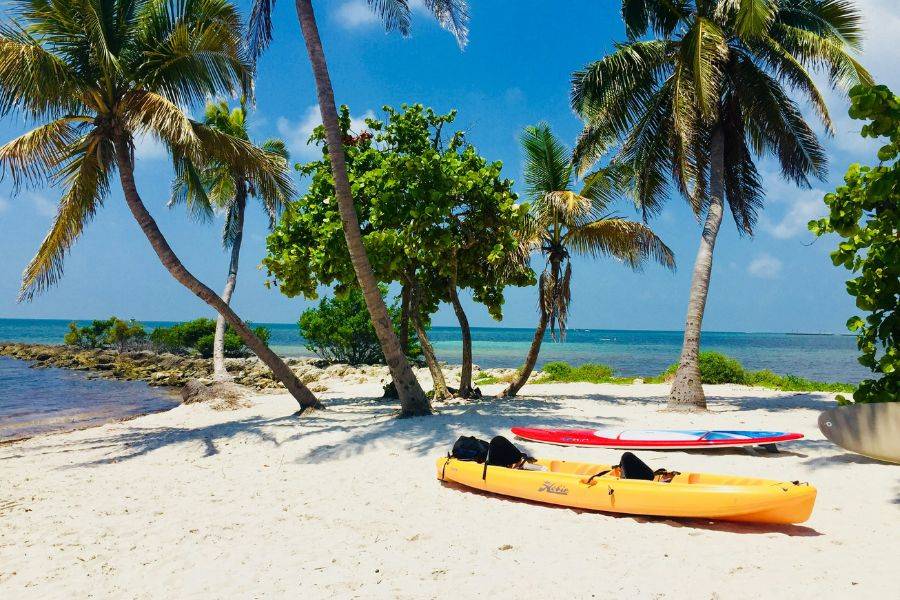 © Pixabay Karibisch anmutender Strand in Florida mit Palmen, türkisblauem Meer, Kajak und Paddleboard – ideal für Wassersport und Entspannung auf den Florida Keys.