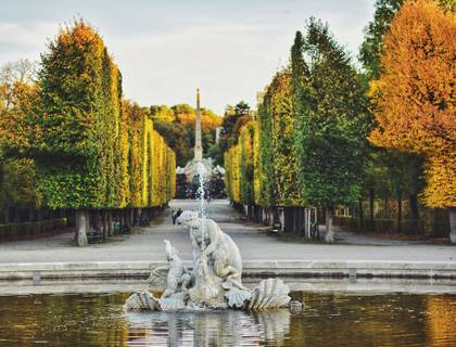 Liebenswertes Wien - ab Frankfurt