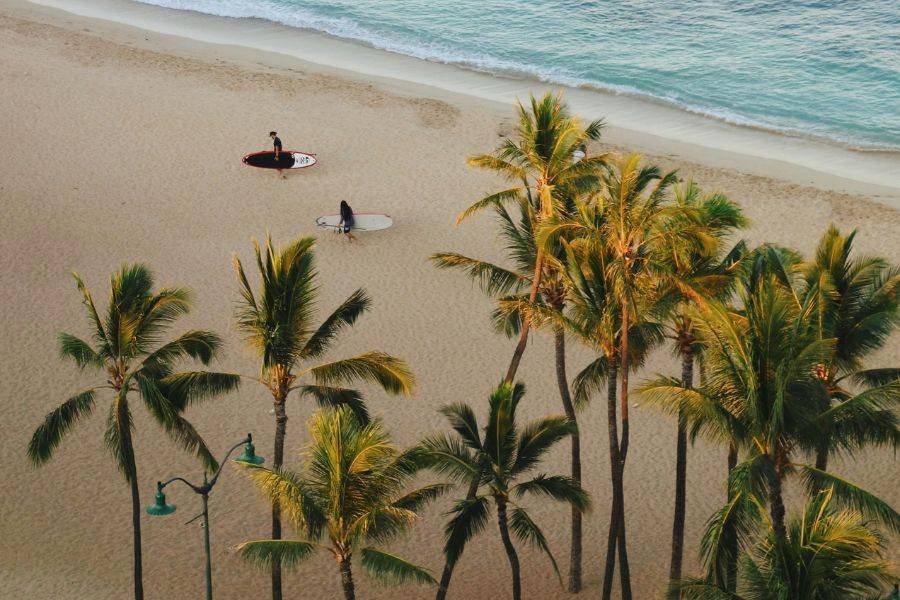 Surfer am goldenen Sandstrand von Waikiki auf Oahu, Hawaii – tropische Palmen, sanfte Wellen und entspannte Beach-Atmosphäre.