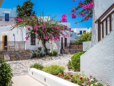 Romantischer Innenhof im traditionellen Stil mit weiß gekalkten Häusern, blühender Bougainvillea und Natursteinwegen.