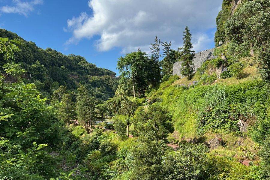 Idyllisches, bewaldetes Flusstal mit Felsen im Wasser, umgeben von dichtem Grün unter blauem Himmel mit wenigen Wolken.