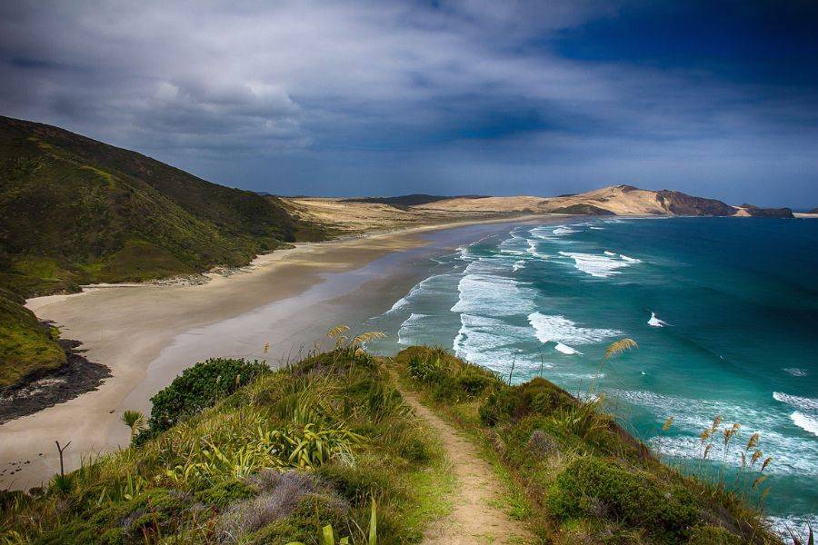 Küstenlandschaft von Cape Reinga in Neuseeland mit goldenen Sandstränden, grünen Hügeln und einer dramatischen Meereskulisse, wo Tasmansee und Pazifik aufeinandertreffen.
