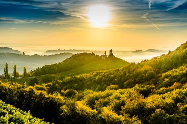Genussreise Steiermark (Frankfurt)