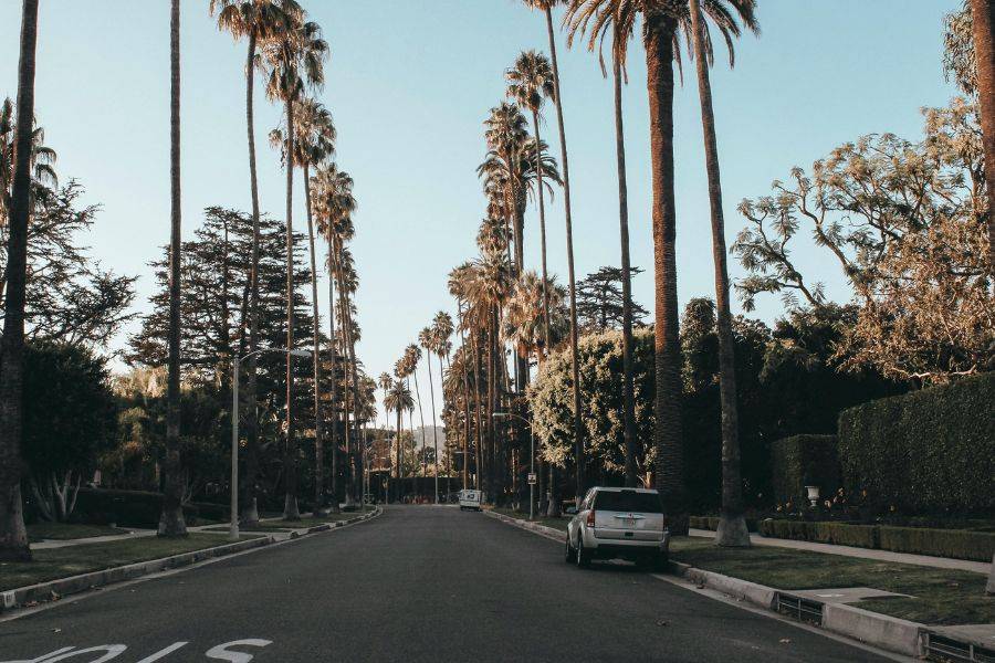 Ruhige Straße in Beverly Hills, gesäumt von hohen Palmen bei tiefstehender Sonne.