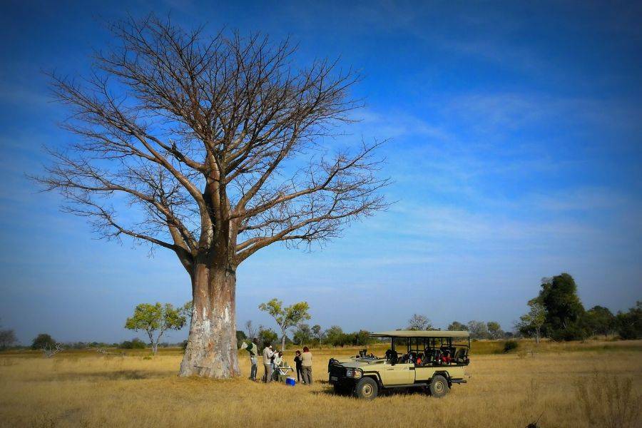 Safari-Fahrzeug vor einem mächtigen Baobab-Baum im südlichen Afrika während einer African Explorer Reise