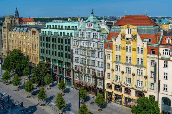 Ambassador - Zlata Husa *****