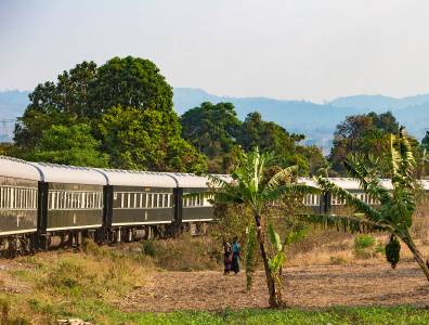 Rovos Rail mit Palmen