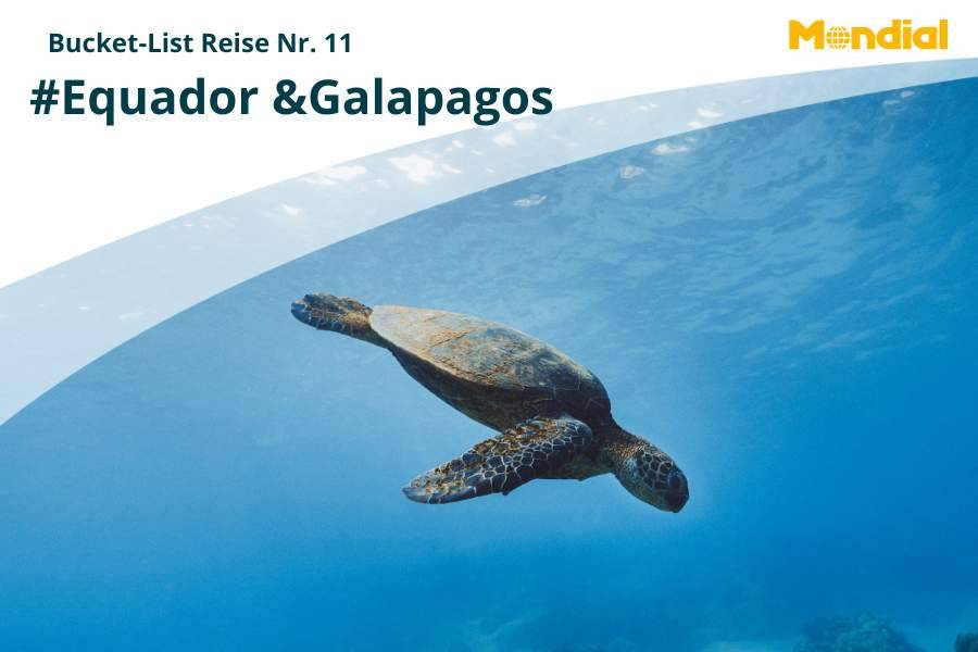 Bucket-List Idee #11 – Ecuador und Galapagos-Inseln: Natur pur